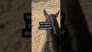 Horse Riding Question #alternativehorsemanship