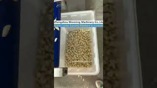 Garlic color Sorter Machine Color Sorting Machine in Galirc peelign line