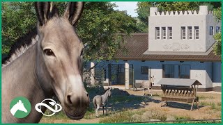 Somali Wild Ass Habitat | Elm Hill City Zoo | Planet Zoo