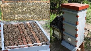 Khmer beekeeping: Trying to do like European beekeeping in Southeast Asia