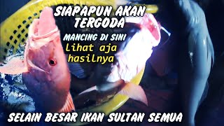 MANCING DASAR MALAM HARI DI LAUT PERBATASAN,STRIKE IKAN KAKAP MERAH KAKAP PUTIH MONSTER