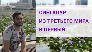 Чему стоит поучиться у Сингапура? Сингапур из третьего мира в первый. Зеленский и Ли Кван Ю.