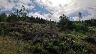 Ulvik Hike