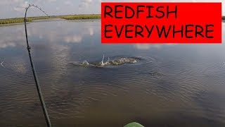 LOST In Fisherman's Paradise Redfish Everywhere