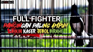 PASTI JEBOL BIRAHI KACER KALIAN || LANGSUNG PLAY SUARA KACER FIGHTER INI - BONJOL KICAU