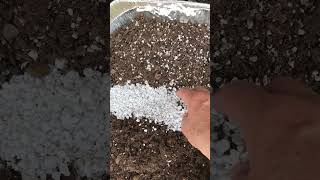 Proper & home made soil for Passiflora Passion flower vines. See prior videos for more info.