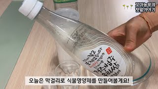 텃밭용 막걸리 천연비료 만들기:: (설명참조) 5분만에 뚝딱 만드는 주말농장 천연비료:: 식물영양제:: natural fertilizer for plants