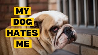 Why Your New Dog DOESN'T LIKE YOU