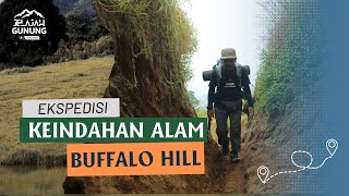 Ekspedisi Keindahan Alam Pendakian Gunung Buffalo Hill - Garut