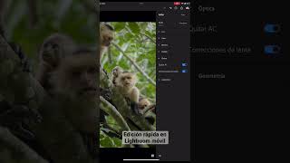 Totalmente recomendada Lightroom móvil para revelar fotografías. #lightroom #fotografia #edicion