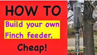 How to build a cheap bird feeder.