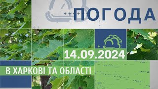 Прогноз погоди в Харкові та Харківській області на 14 вересня