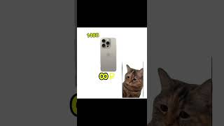 У меня 50 руб #tiktok #shorts #memecats #мем #memecat