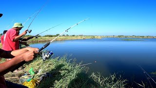 Sarap Balik Balikan itong Spot na ito Daming Native Tilapia at Hito,,. Buhay Probinsya