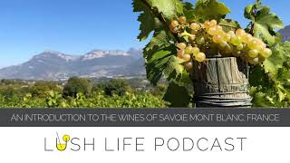 Why Savoie Wines Will Knock Your Skis Off! With Bernard Vissoud & Johnny Salvo