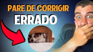 Como Corrigir Um Cachorro Que Não Se Comporta