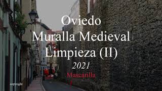 Oviedo Muralla Medieval  Limpieza (II)