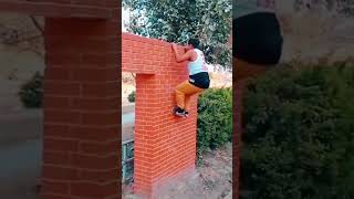 Rate this cat leap 0/10🔥 #shorts #trending #viral #parkour