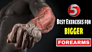 Top 5 | Forearm Workout | Home Workout With Dumbbells  @BuddyFitness