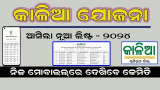 କାଳିଆ ଯୋଜନା ନୂଆ ଲିଷ୍ଟ  || Kalia Yojana New List 2024 || Kalia Yojana