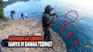 JADI TONTONAN!! FULL STRIKE IWAK CENDRO - SPOT MANCING PANTAI NGLIYEP - MMeps. 150