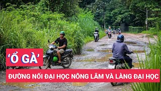 Đường nối Đại học Nông Lâm và làng đại học TP.HCM chi chít 'ổ gà'