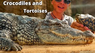 Kid Finds Deadly Crocodile... THEN WHAT?