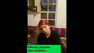 #Fidan #Bagis  Yeşim Fındık - MAMOS - Fidanlar Yesersin Diye