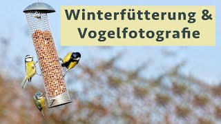 Futterstellen für Vögel im Garten einrichten und als Foto-Ansitz nutzen