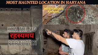 यहाँ  मिली मुझे अज्ञात जानवर की लाश | Shocking Haunted Discovery | Haryana Most Haunted Location |