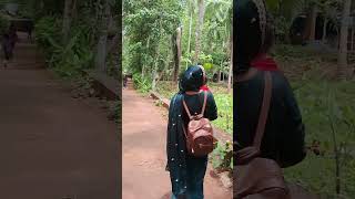 എന്റെ ബാല്യത്തിന്റ ഓർമ്മകൾ പതിഞ്ഞ വഴിയിൽ#noticias