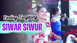 SIWAR SIWUR ~ TENGDUNG // CITRA NADA LIVE REUNI PEMUDA MUARAREJA (MLANYAR) -  KOTA TEGAL