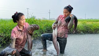 Harvesting Catfish & Melons on the Farm, Good Day To Go To The Market | New Life