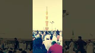 Madinah Eid ul fitr | viral video2024 #eidmubarak #madinasharif #viral