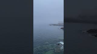 Días de niebla en A Coruña 🥲#shortvideo #foryou #galicia #niebla #coruña