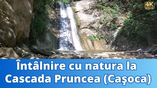 Întâlnire cu natura la Cascada Pruncea (Cașoca) - 4K60fps