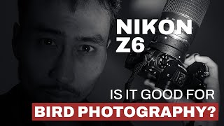 Nikon Z6: Good for Bird Photography? Actually, maybe.