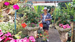 Sonia Sembrando hermosa planta Floral en Nueva Maceta de piedras