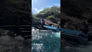 Zodiac Ride, Isabela Island, Galapagos