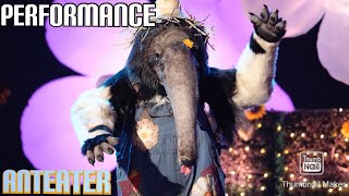 Anteater Performs "I Want It That Way" By The Backstreet Boys | Masked Singer | S10 E7