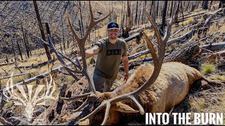 INTO THE BURN-Late Season AZ Rifle Elk Hunt