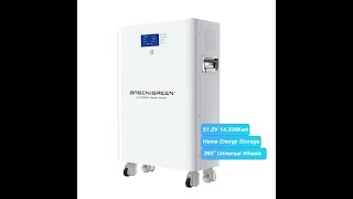 Basengreen EU stock 14.3Kwh 51.2V 280ah LiFePO4 Battery production process