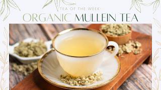 Organic Mullein Tea 🌿 | Tea of the Week