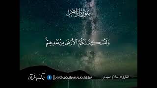 وَمَا لَنَا أَلَّا نَتَوَكَّلَ عَلَى اللَّهِ وَقَدْ هَدَانَا سُبُلَنَا ۚ إسلام صبحى