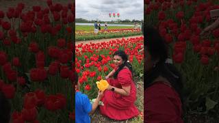 Tulip farm 🌷🌷🌷 #weekend #tulipfarm #tulipflowers #flowers #spring ng