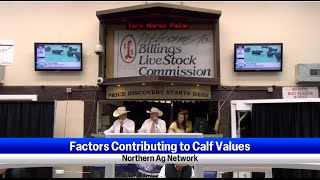 Factors Contributing to Calf Values