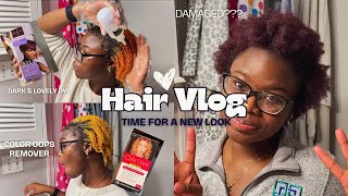 Removing and Recoloring my Natural Hair…Color Oops turned my hair YELLOW!😱 ft. Dark & Lovely Box Dye