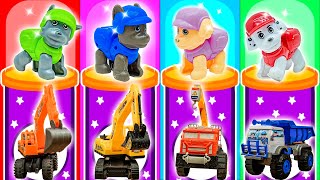 Squad PAW Patrol rescue Ryder and more | PAW Patrol Cartoon | Cartoons for Kids