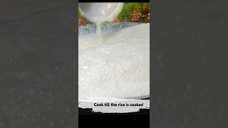 Rice kheer #shorts #youtubeshorts #kheer #milk #rice #food #cooking #shortvideo