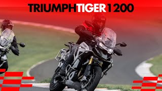 Triumph Tiger 1200 - A ofensiva da marca para brigar entre as Big Trails - E AINDA TOMEI UM TOMBO!